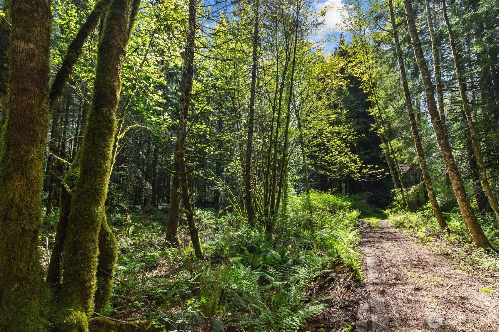 27525 W Lake Riley Road Arlington WA 98223