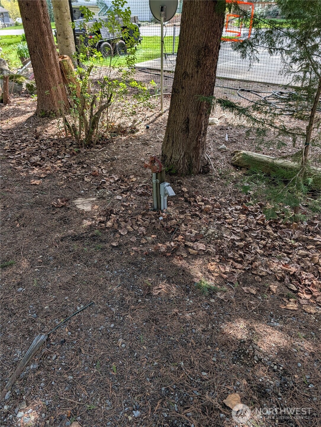 4611 268th Avenue NE Redmond WA 98053