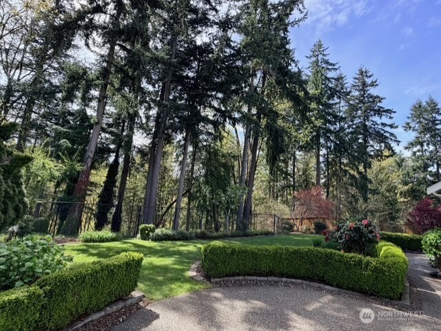 14819 SE 66th Street Bellevue WA 98006