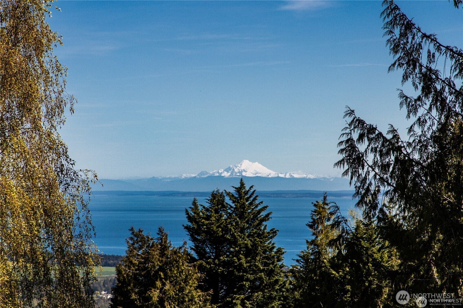 315 Quails Roost Road Sequim WA 98382