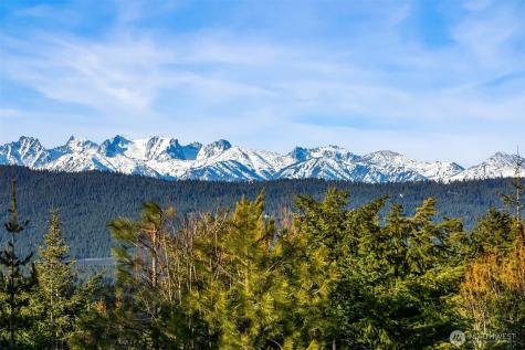 452 Mahonia Drive Cle Elum WA 98922