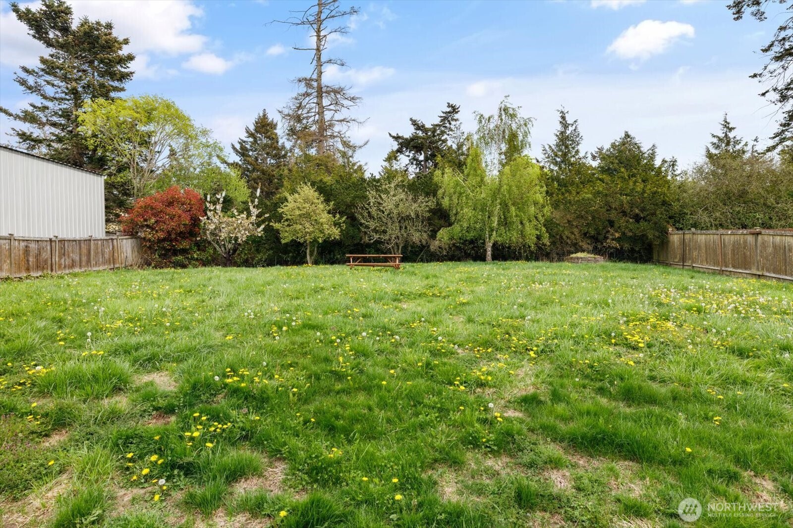 954 Shawn Avenue Oak Harbor WA 98277