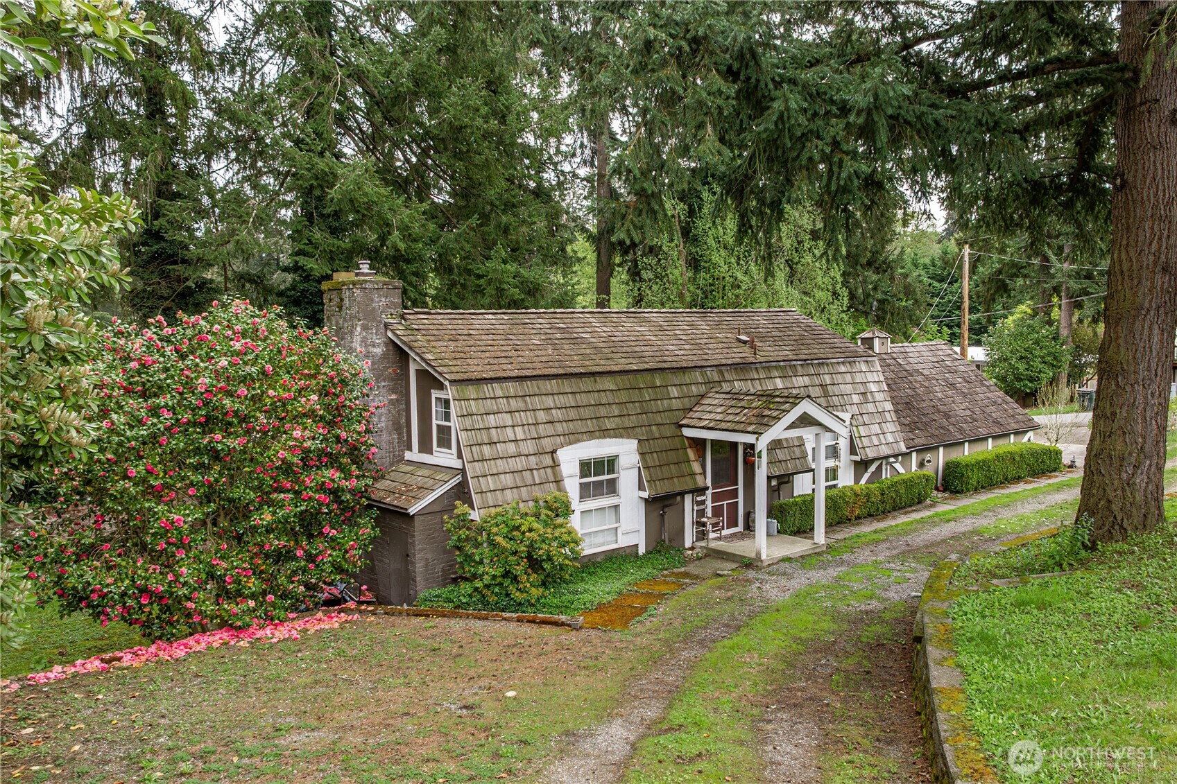 12404 NE 6th Place Bellevue WA 98005