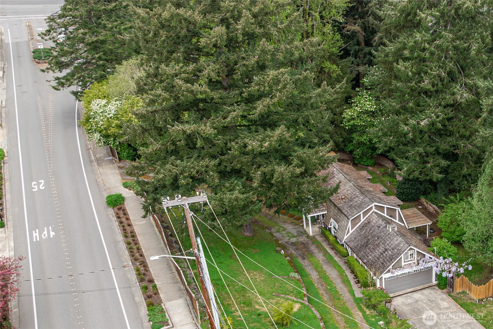 12404 NE 6th Place Bellevue WA 98005