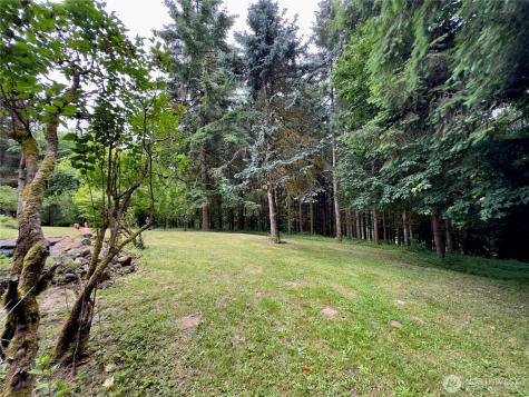 818 NW 359th Street La Center WA 98629