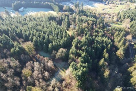 818 NW 359th Street La Center WA 98629