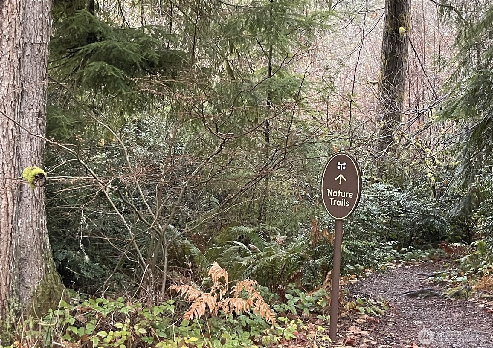 121 E Country Club Drive E Union WA 98592