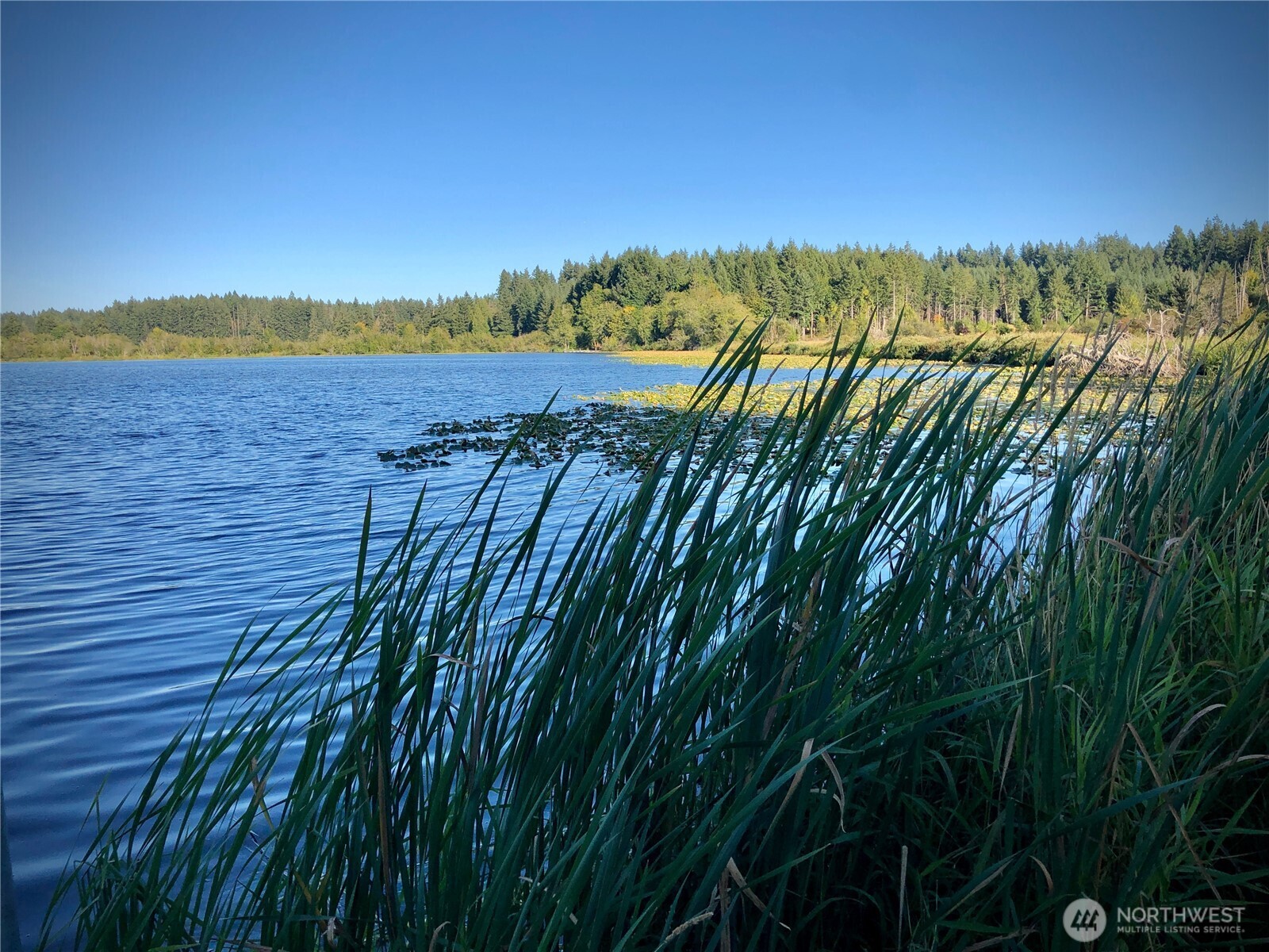 2813 Bona Vista Drive SW Olympia WA 98512