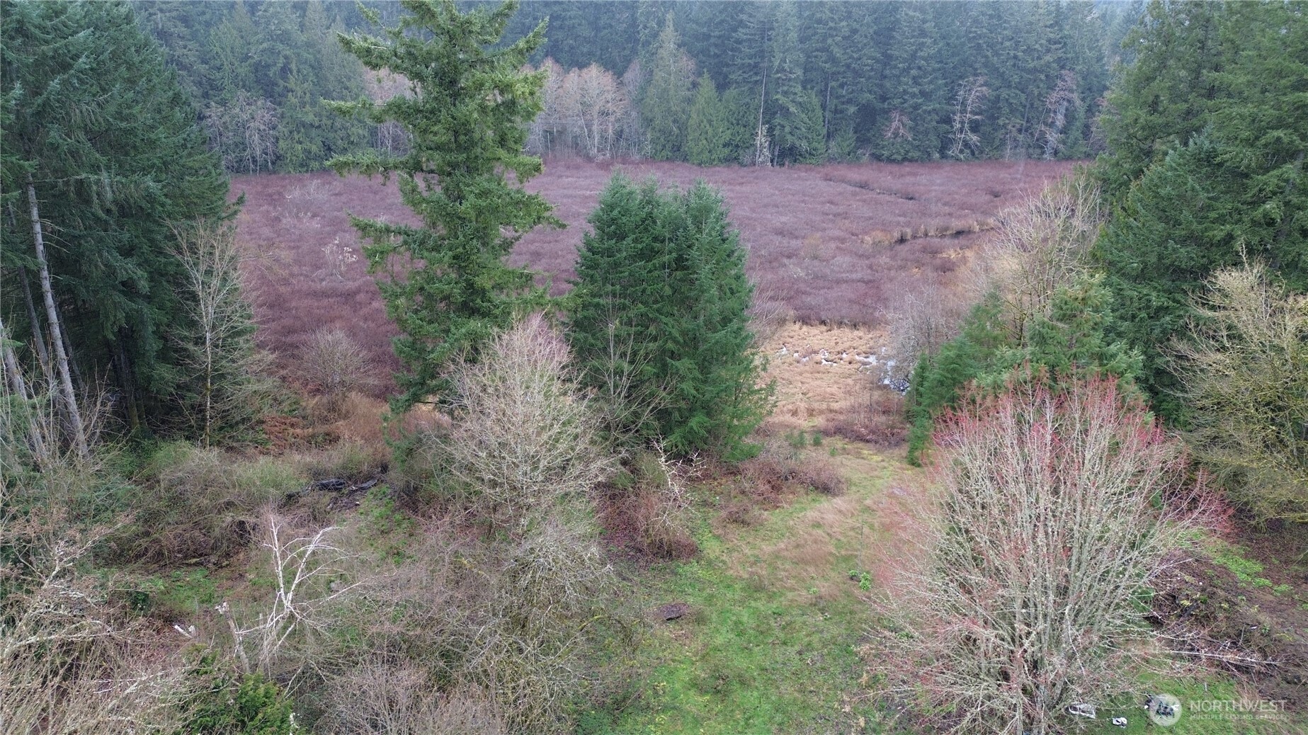 529 NW Past Drive Poulsbo WA 98370