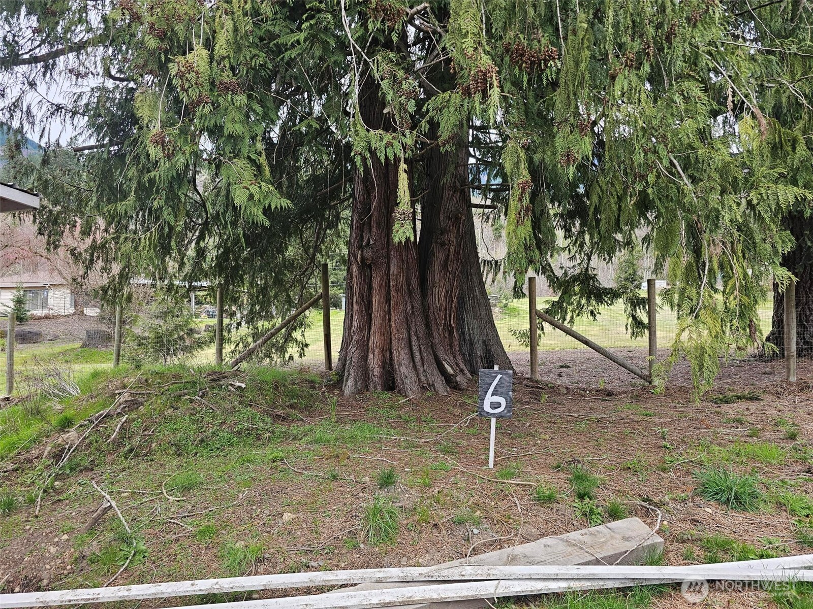 113 Leroy Road Randle WA 98377