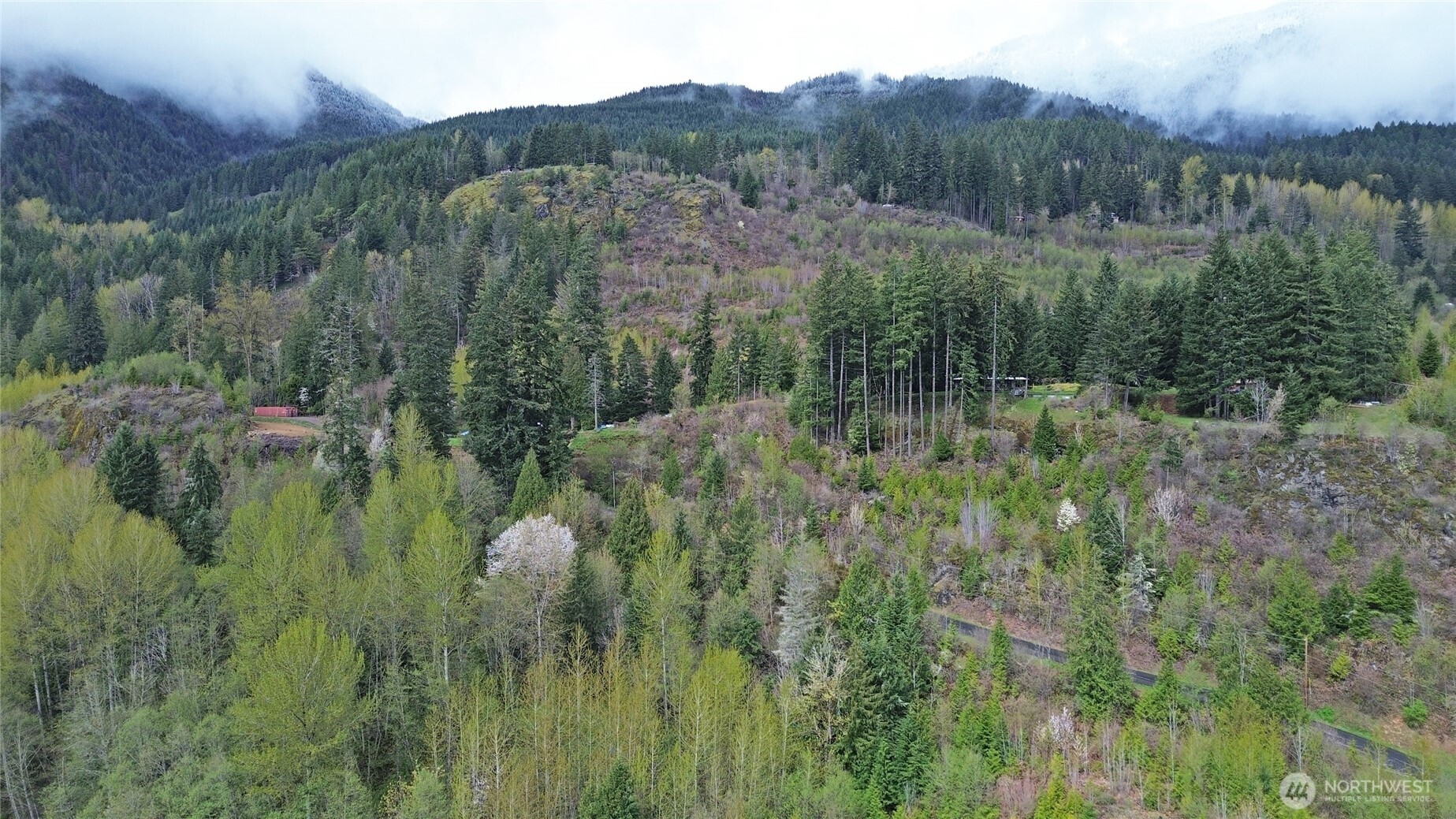 113 Leroy Road Randle WA 98377