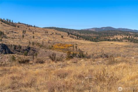 454 Harmony Heights Brewster WA 98812
