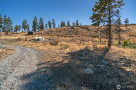 454 Harmony Heights Brewster WA 98812