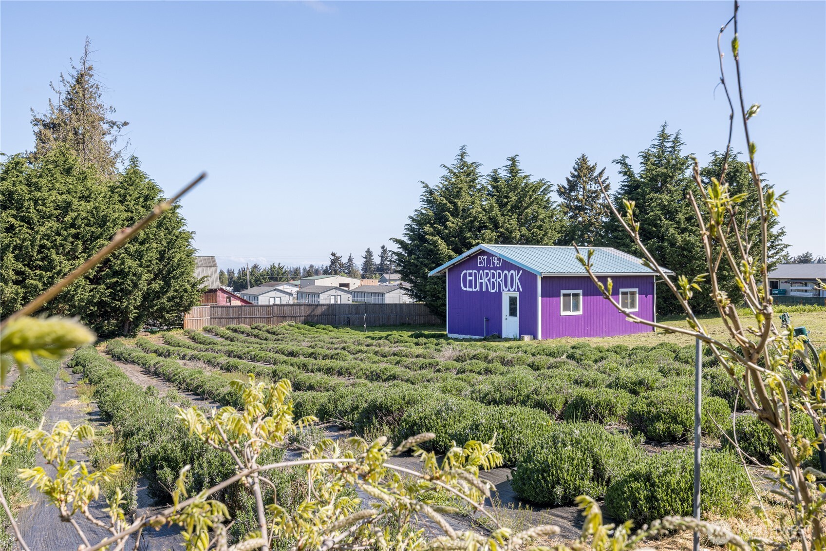 31 Brueckner Road Sequim WA 98382