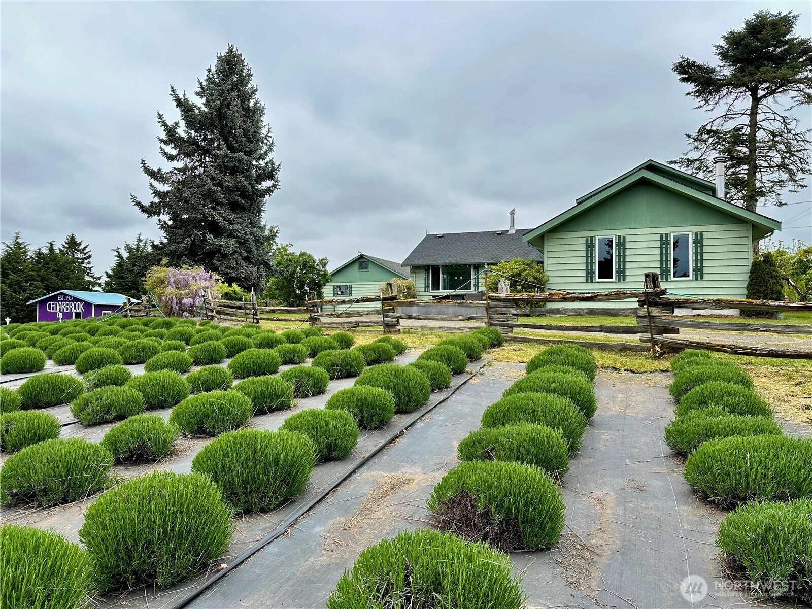 31 Brueckner Road Sequim WA 98382