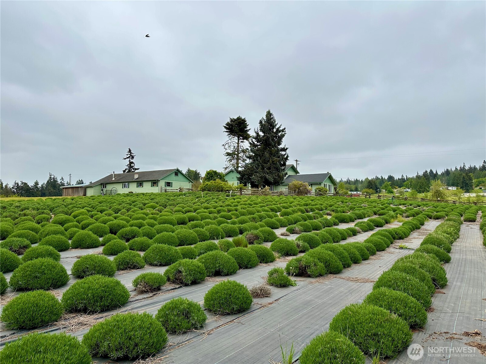 31 Brueckner Road Sequim WA 98382