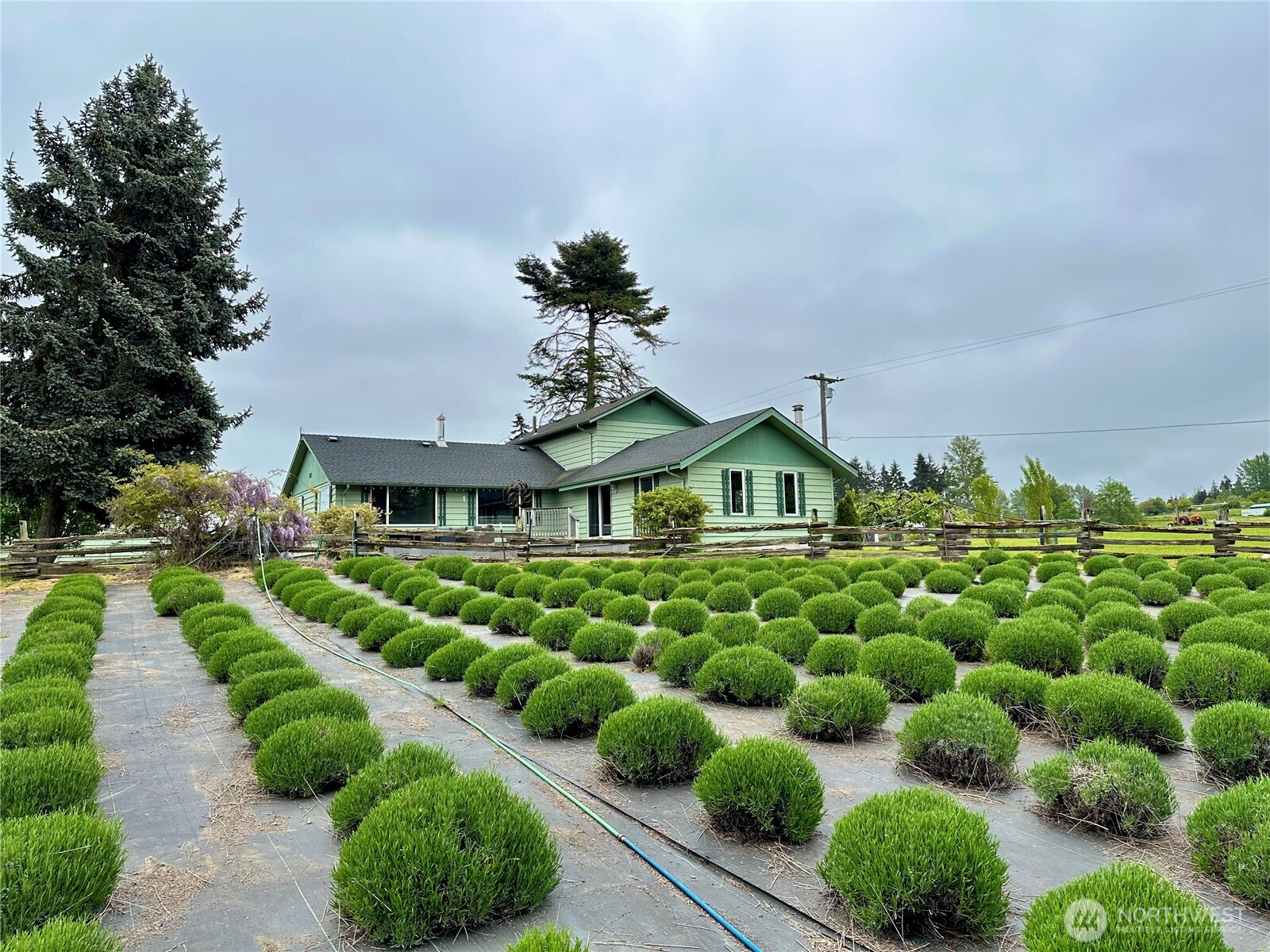 31 Brueckner Road Sequim WA 98382