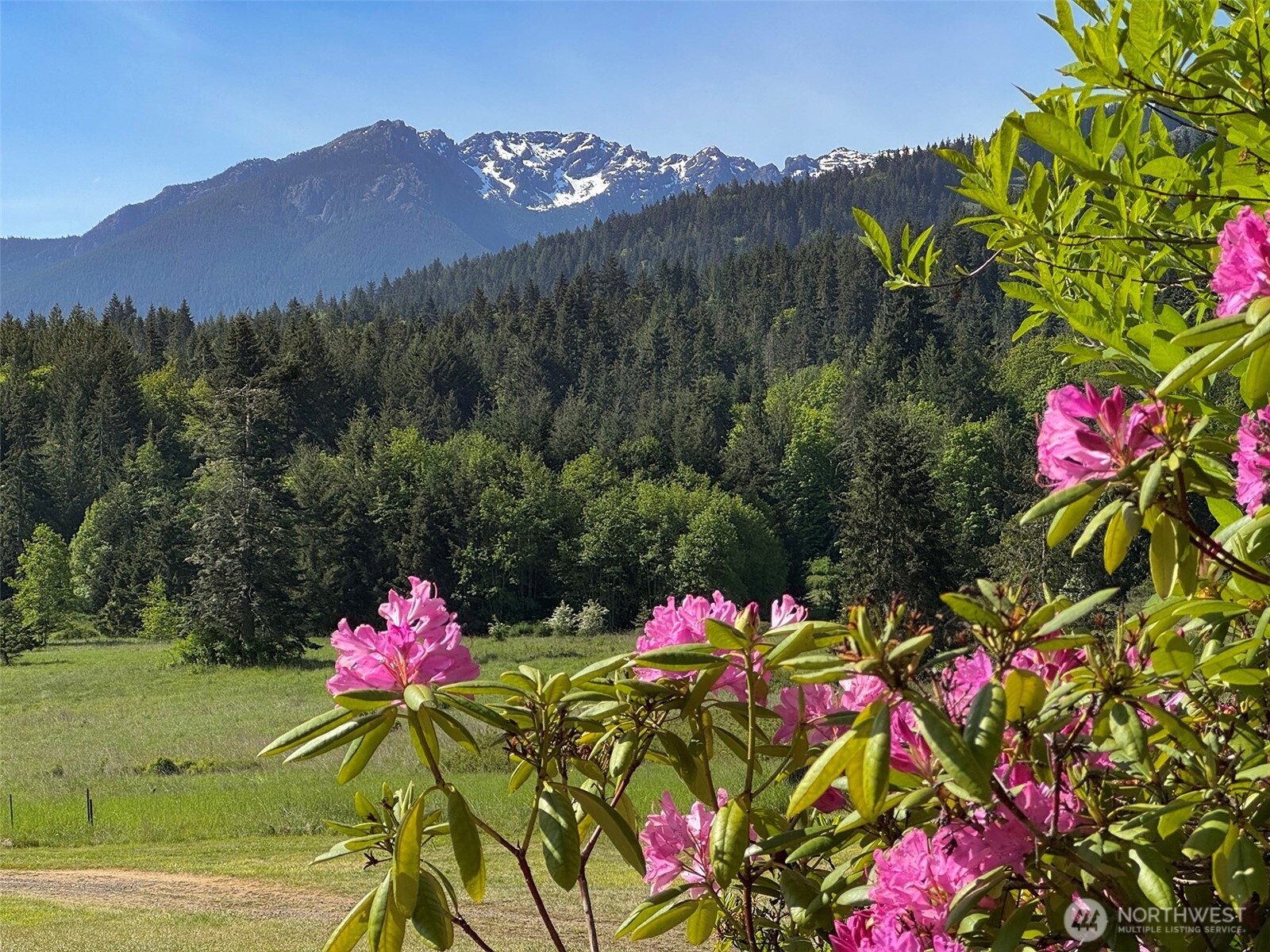 5118 S Mount Angeles Road Port Angeles WA 98362