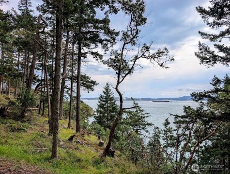 7537 Holiday Boulevard Guemes Island WA 98221