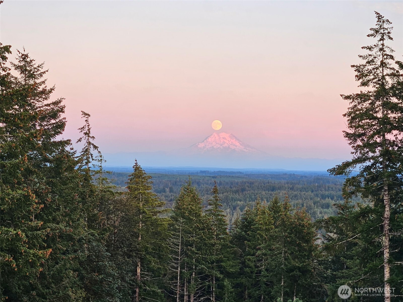 90 W Jeanne Saeger Loop Shelton WA 98584