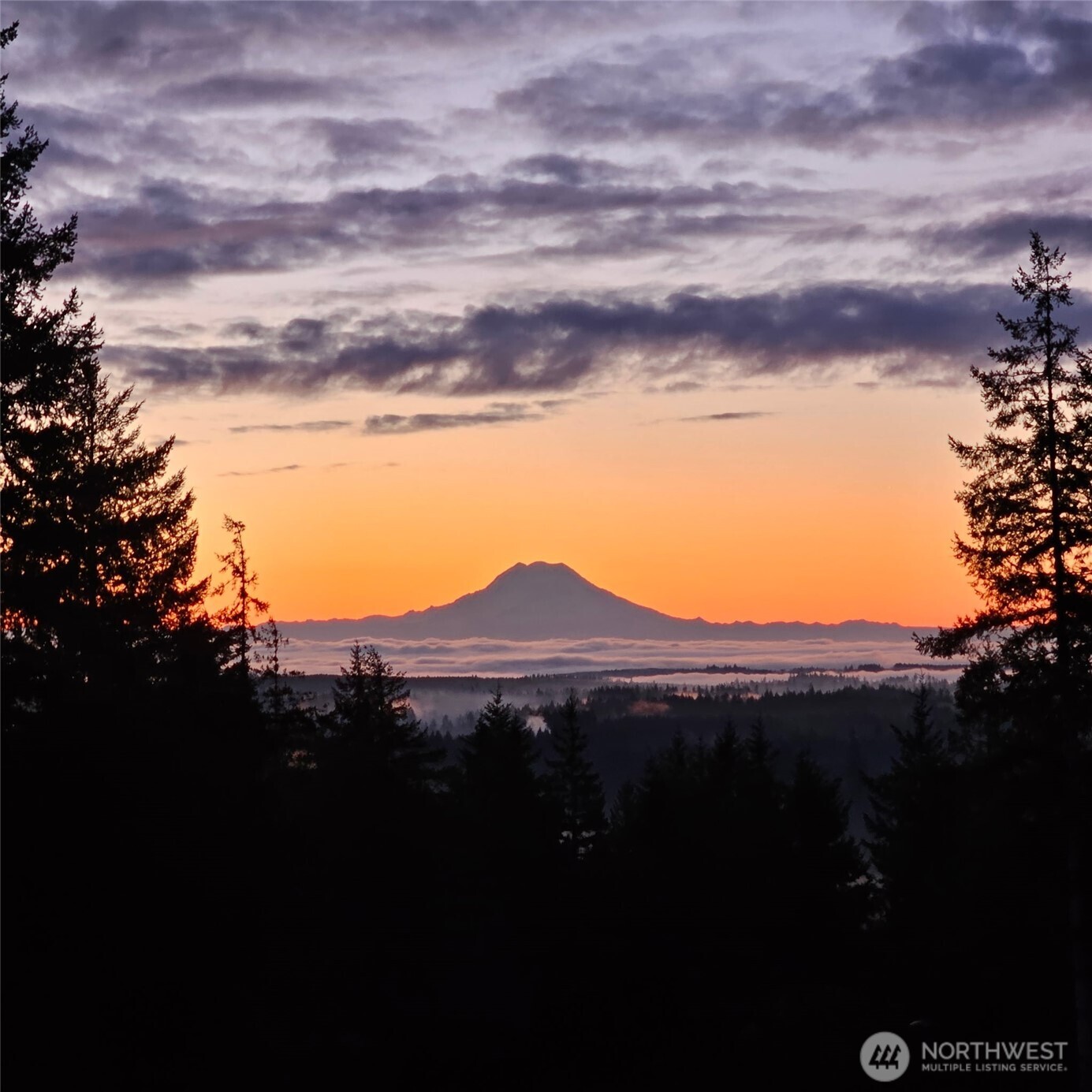 90 W Jeanne Saeger Loop Shelton WA 98584