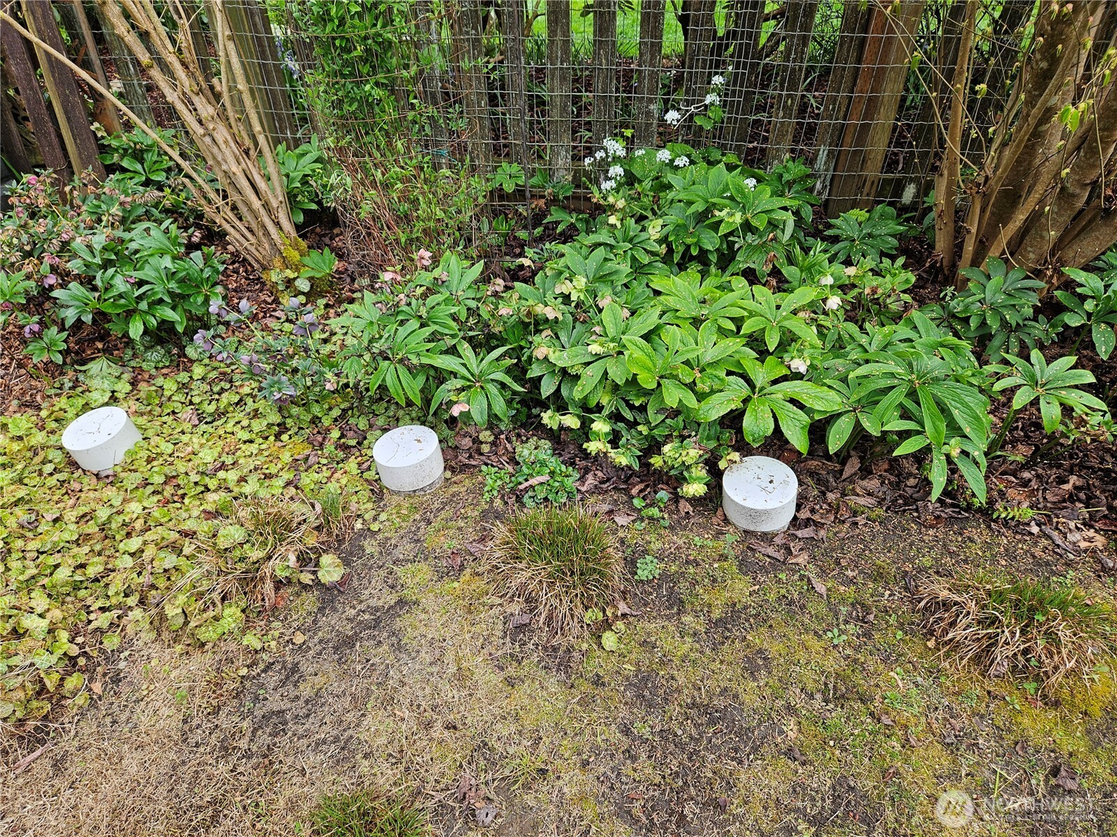 9345 NE Seaview Avenue Indianola WA 98342