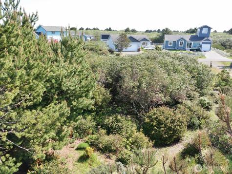 1056 Greenview Avenue SW Ocean Shores WA 98569