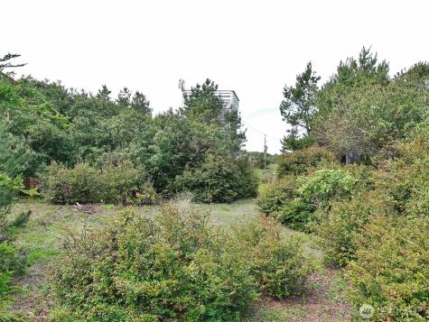 1056 Greenview Avenue SW Ocean Shores WA 98569