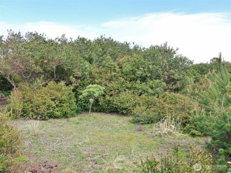 1056 Greenview Avenue SW Ocean Shores WA 98569