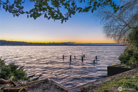 2521 103rd Avenue SE Bellevue WA 98004