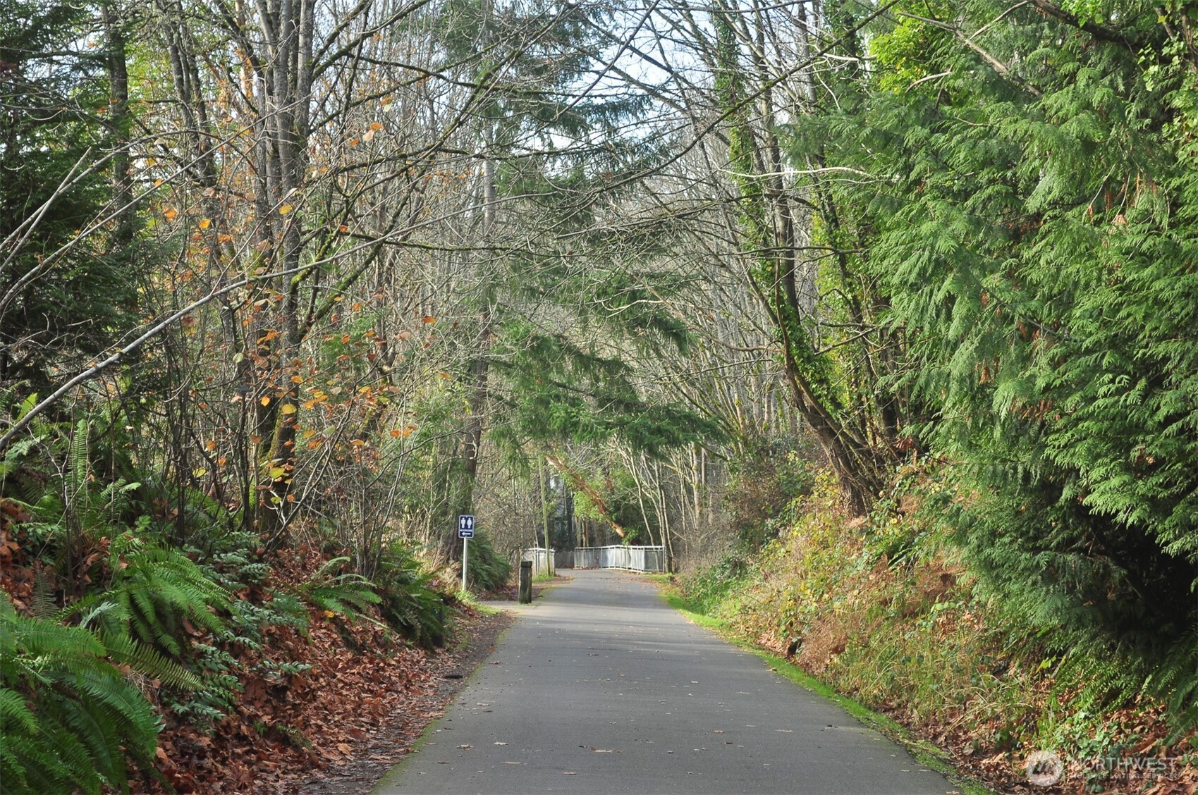 3836 NE 96th Street Seattle WA 98115