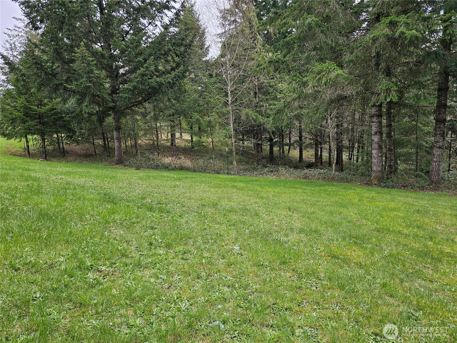190 Tamaracks Drive Onalaska WA 98570
