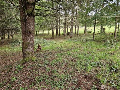 190 Tamaracks Drive Onalaska WA 98570