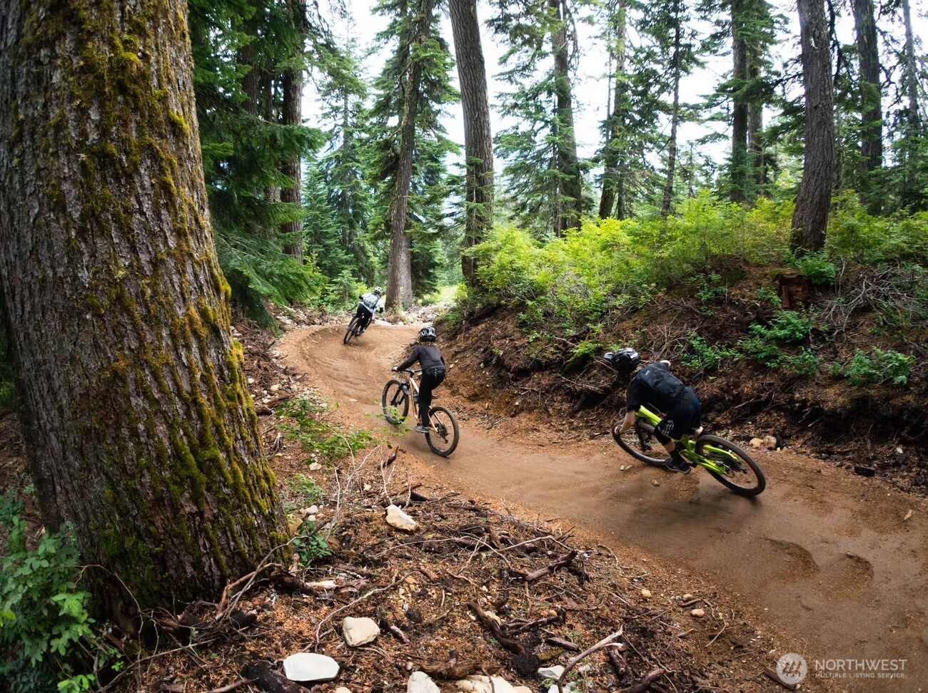 160 Innsbruck Drive Snoqualmie Pass WA 98068