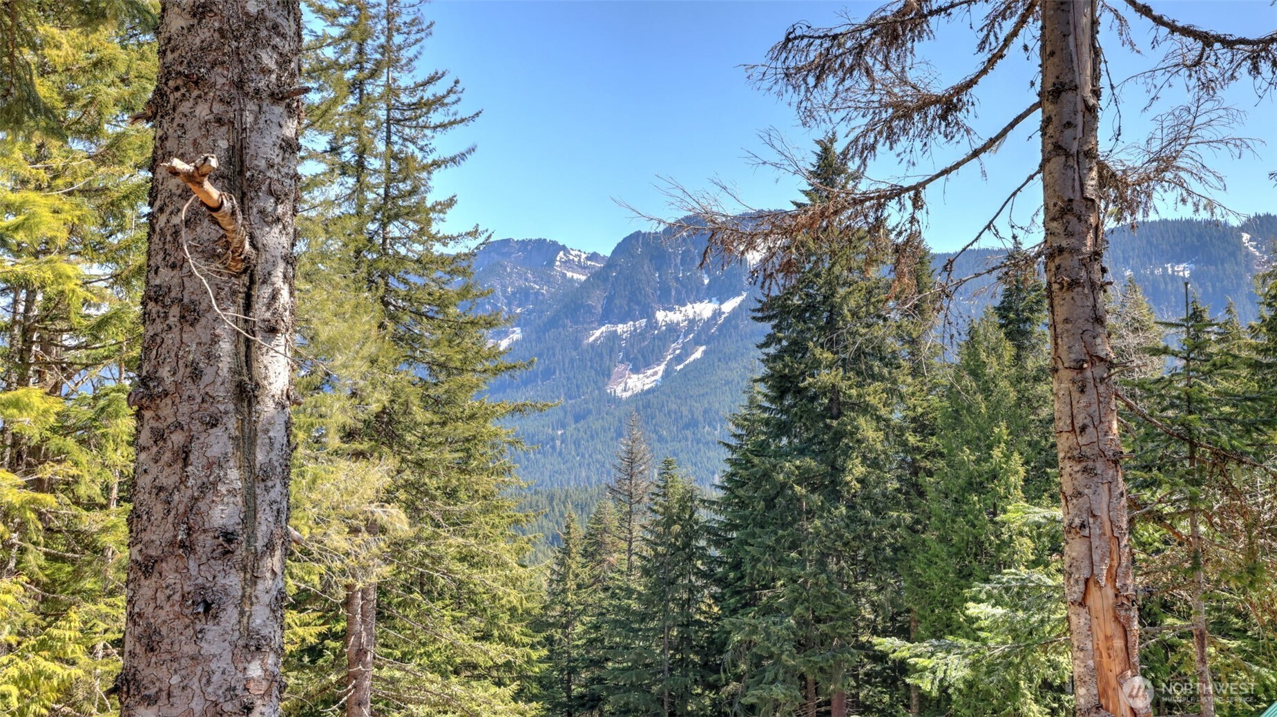 160 Innsbruck Drive Snoqualmie Pass WA 98068