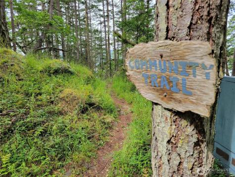 1354 Chinook Way Center Island WA 98221