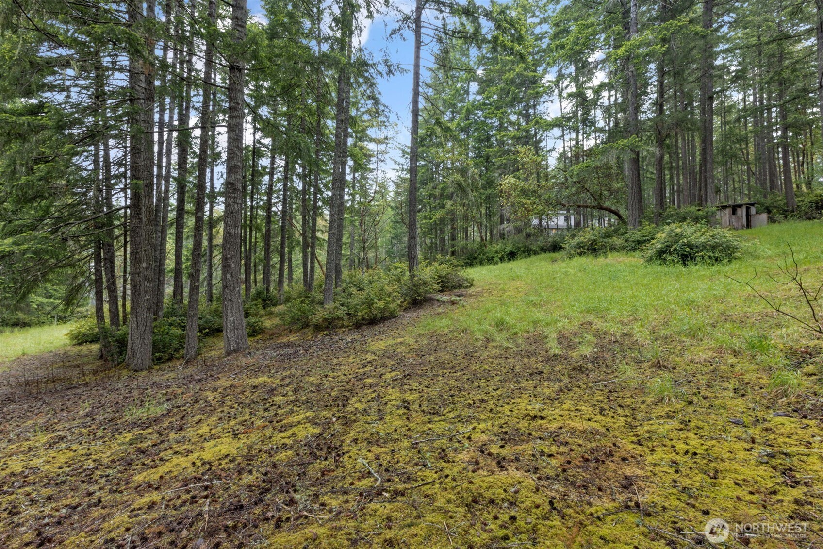 100 E Twanoh Heights Road S Belfair WA 98528
