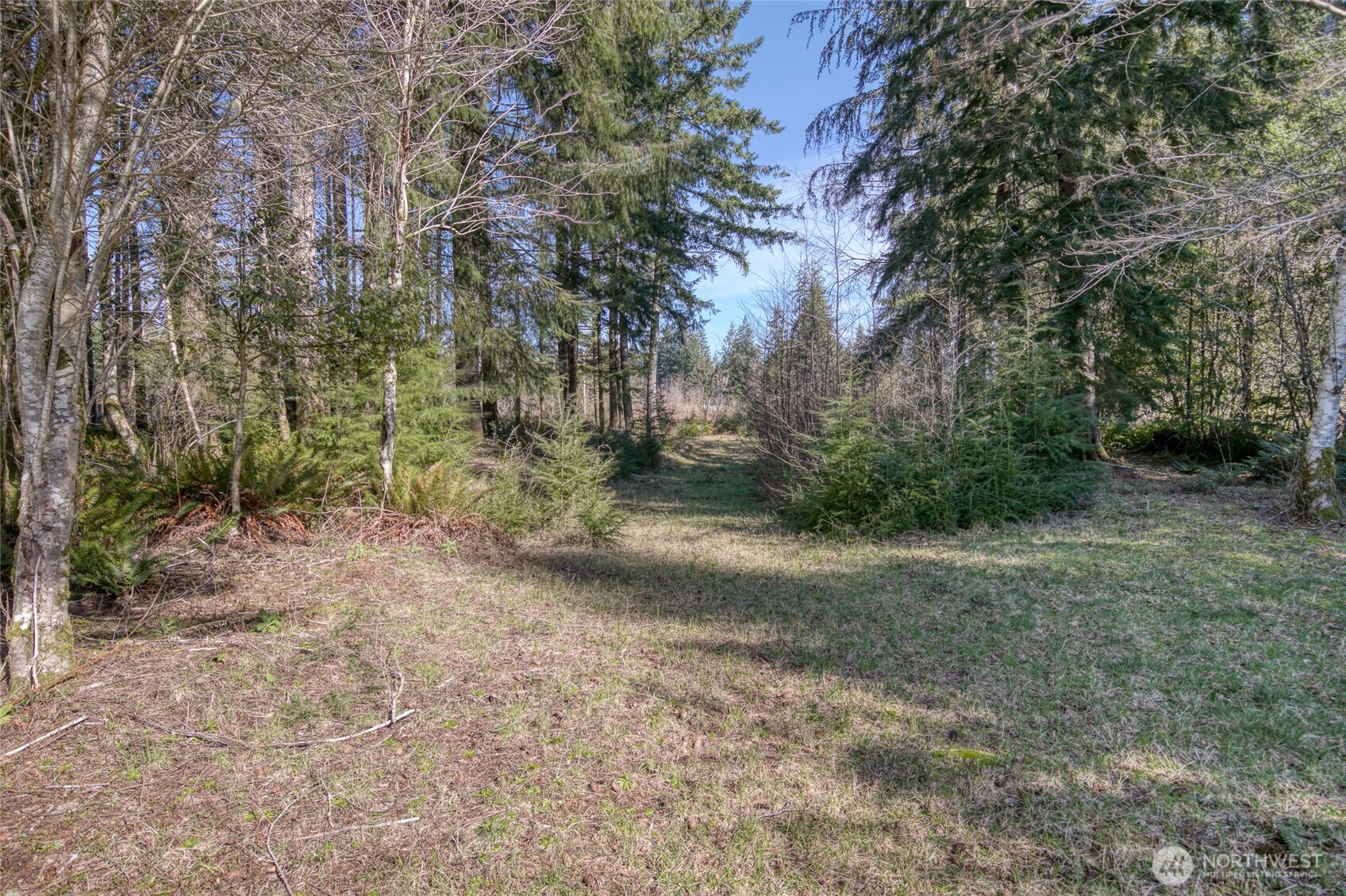 2 Groseclose Lane Humptulips WA 98552