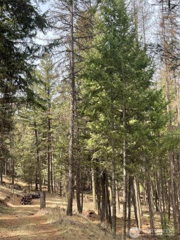 1475 Havillah Road Tonasket WA 98855