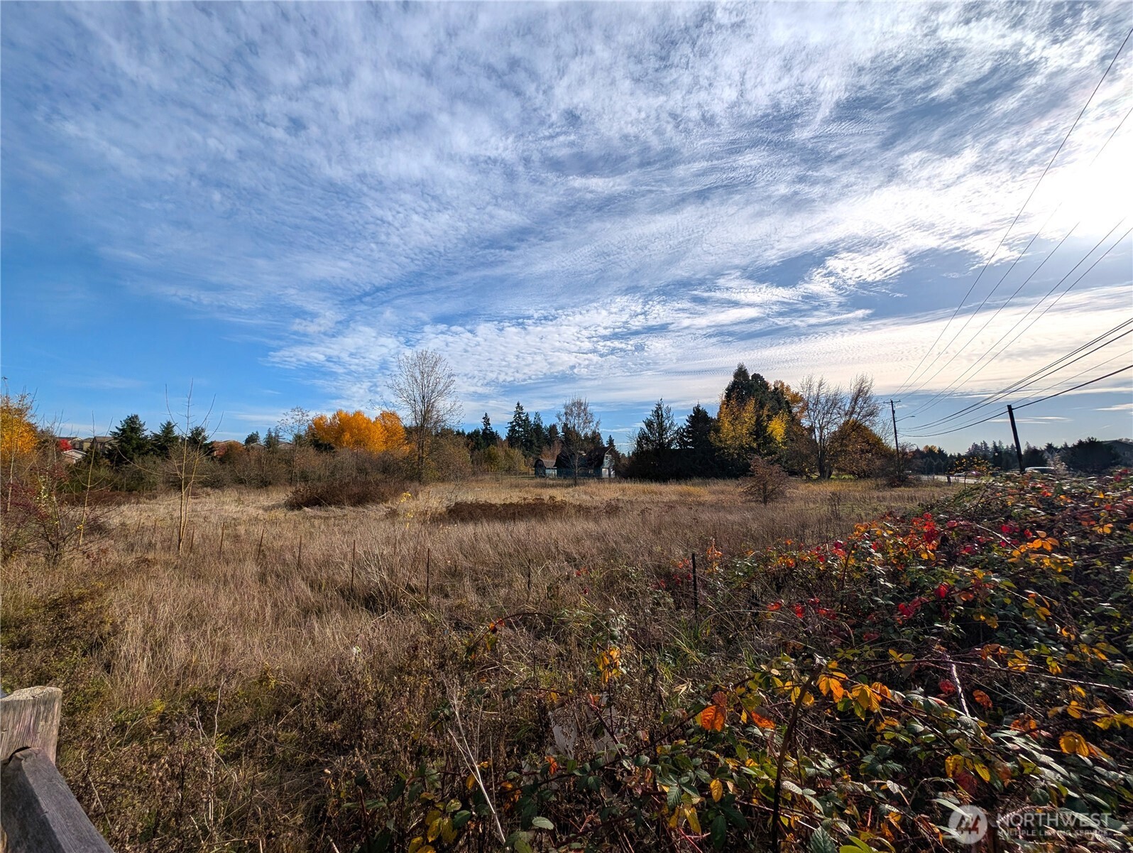 19503 22nd Avenue E Spanaway WA 98387