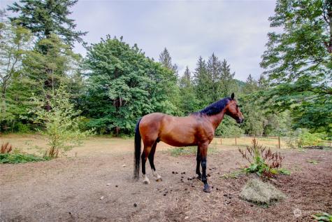 24816 Old Day Creek Road Sedro Woolley WA 98284