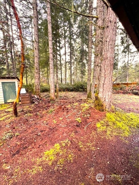 61 NE Madrona Court Tahuya WA 98588