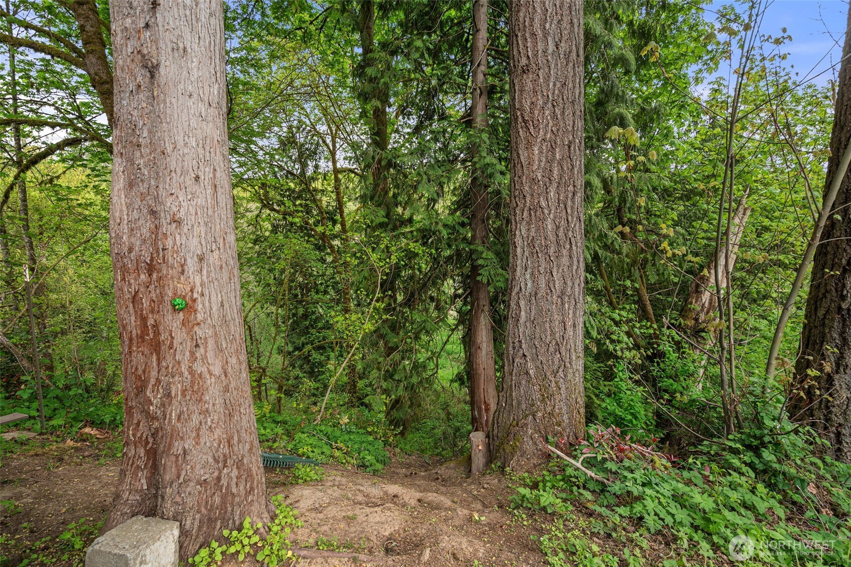 708 NE Eaton Court Castle Rock WA 98611