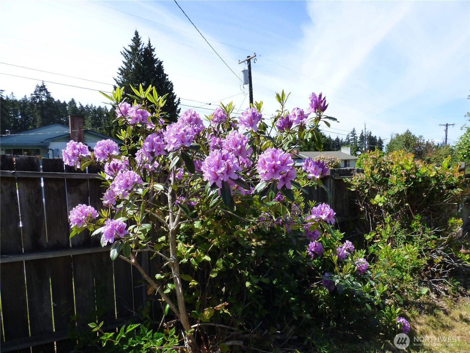 141 Oak Lane Port Angeles WA 98362