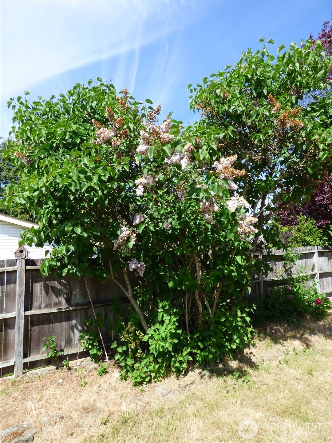 141 Oak Lane Port Angeles WA 98362