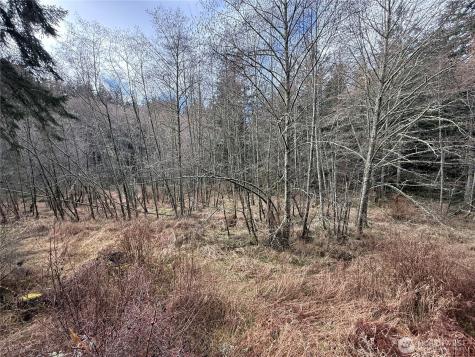 4534 Point Lawrence Road Orcas Island WA 98279