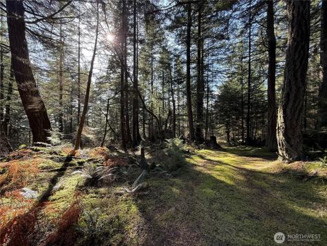 4534 Point Lawrence Orcas Island WA 98279