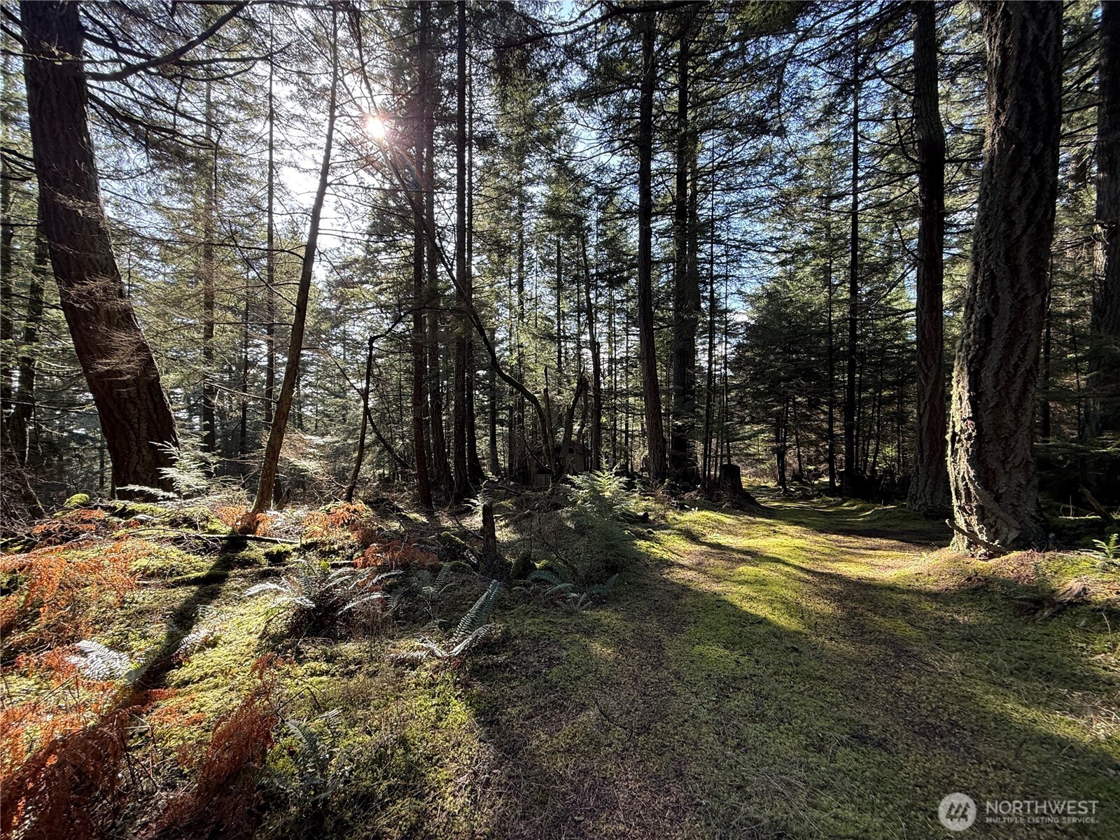 4534 Point Lawrence Road Orcas Island WA 98279