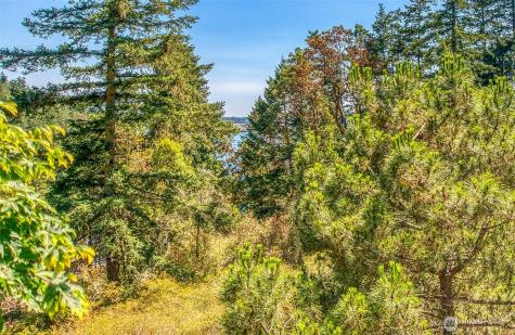 239 Killebrew Lake Road Orcas Island WA 98280