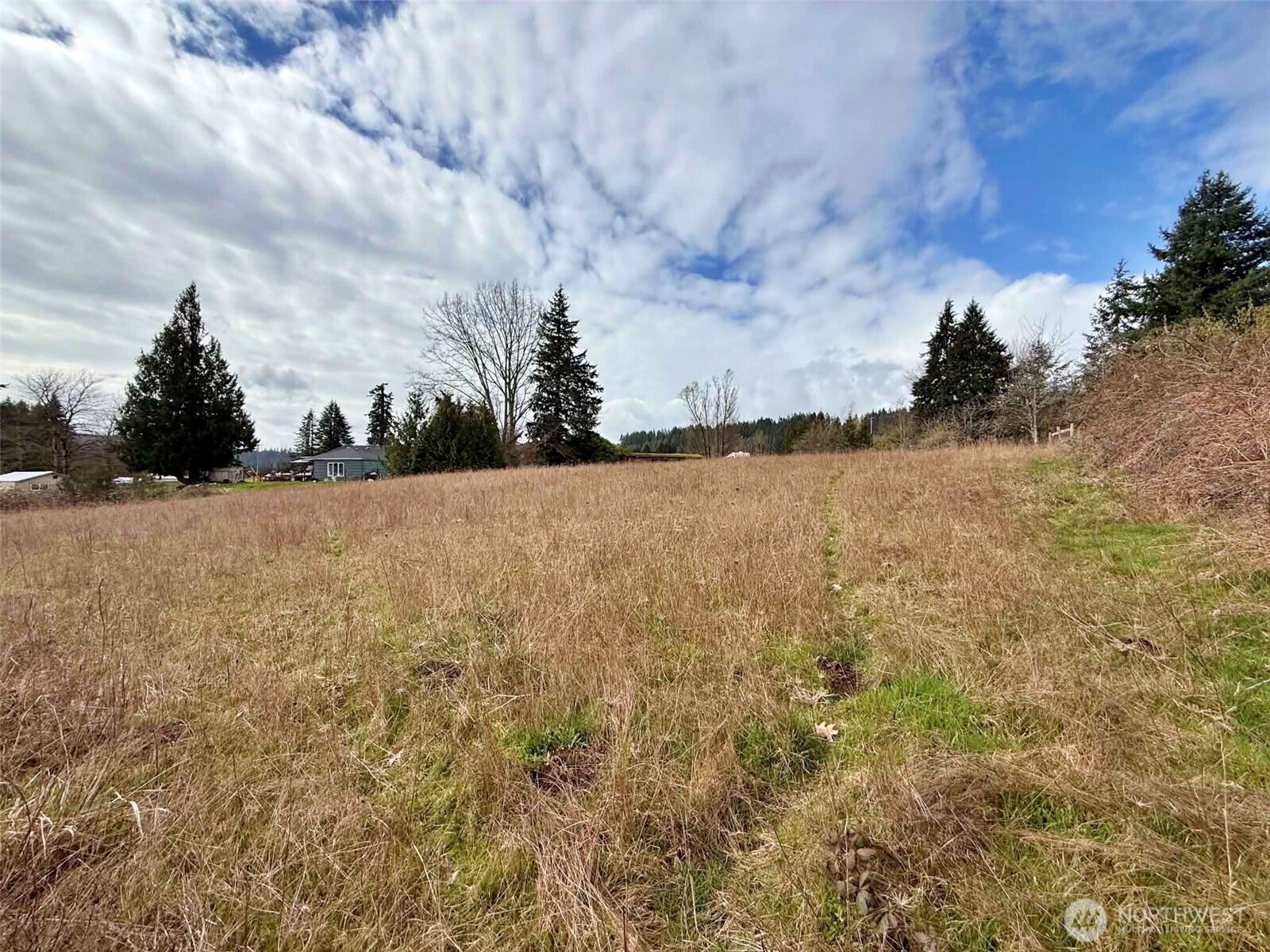 141 Filbert Road Silver Creek WA 98585